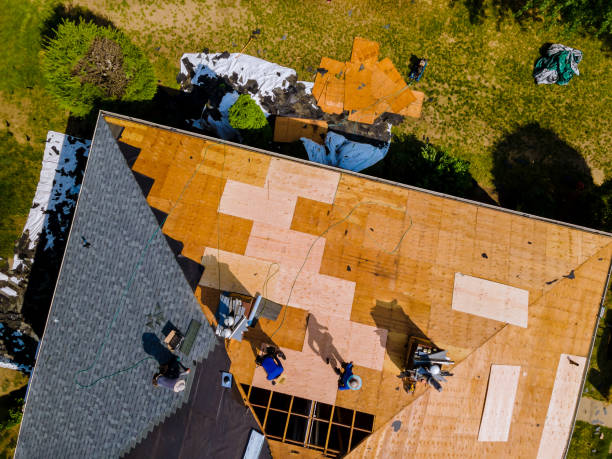 Best Roof Gutter Cleaning  in Dane, WI
