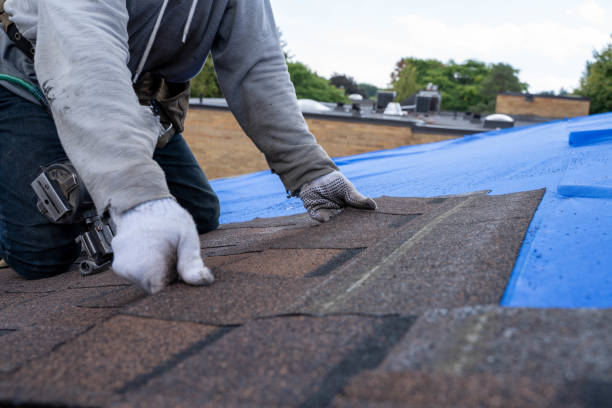 Best Gutter Installation and Roofing  in Dane, WI