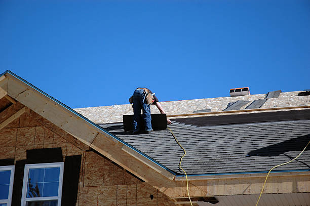 Best Gutter Installation and Roofing  in Dane, WI