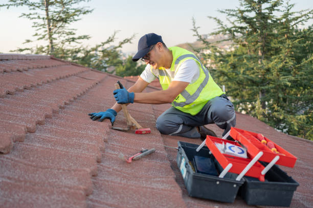 Best Tile Roofing Contractor  in Dane, WI