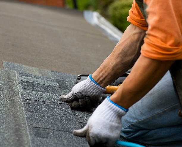 Best Roof Replacement Cost  in Dane, WI