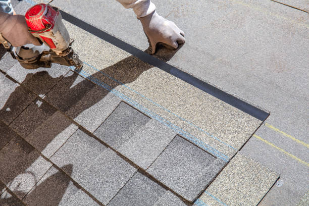 Best Flat Roof Repair Services  in Dane, WI
