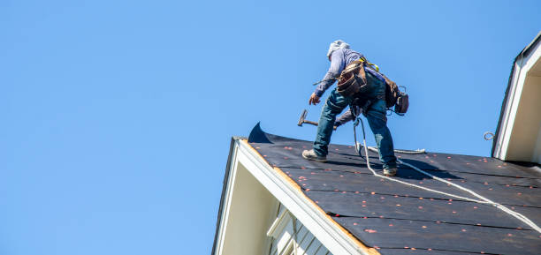 Best Commercial Roofing Services  in Dane, WI