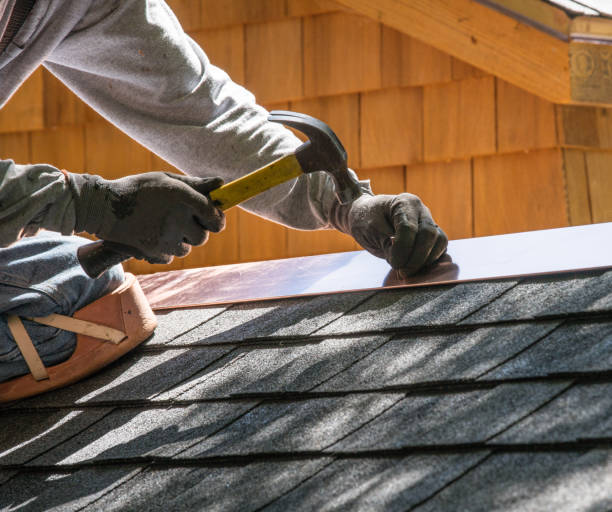 Best Commercial Roofing Services  in Dane, WI